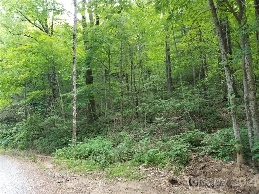 340 Melrose Mountain Road Tryon, NC 28782 - Photo 10 of 36 a view of a forest with a trees