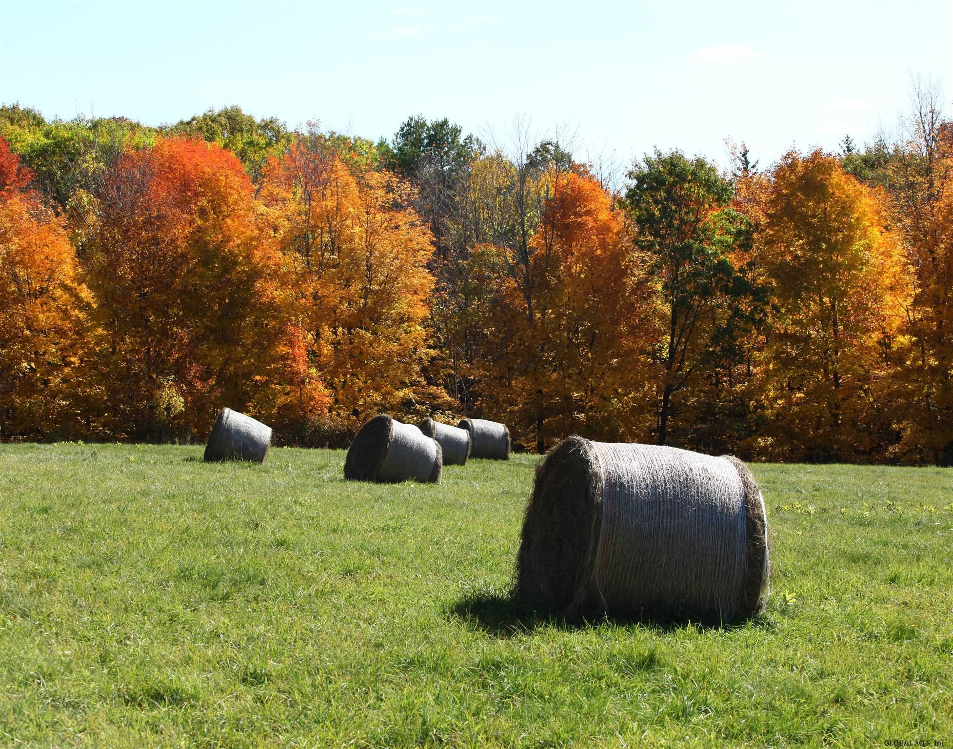 554 County Rt 358 Rensselaerville, NY 12147 - Photo 74 of 74 Photo 99