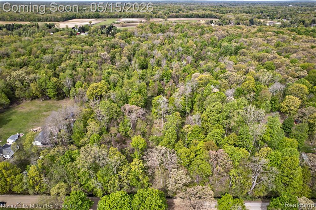 22530 Bohn Road Belleville, MI 48111 - Photo 3 of 28