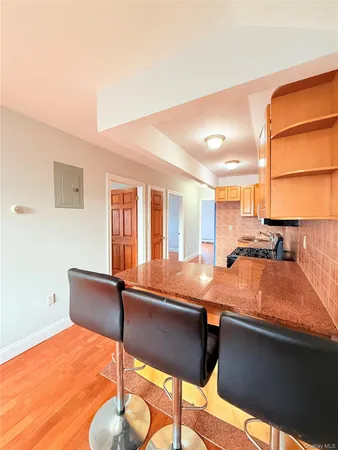 $3,200 | Undisclosed Address | South Ozone Park