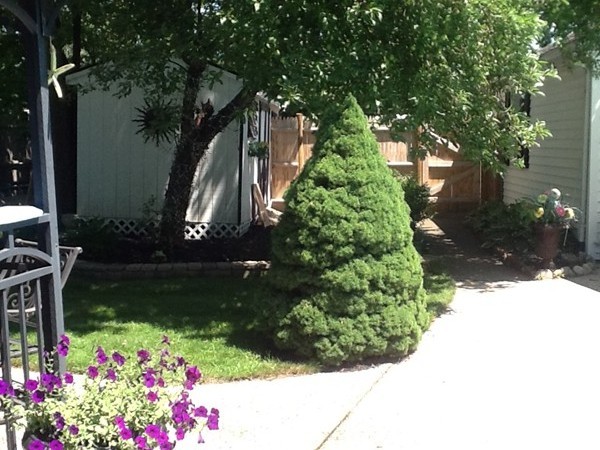 6 Valley Road Southborough, MA 01772 - Photo 26 of 30 Gallery Image 26