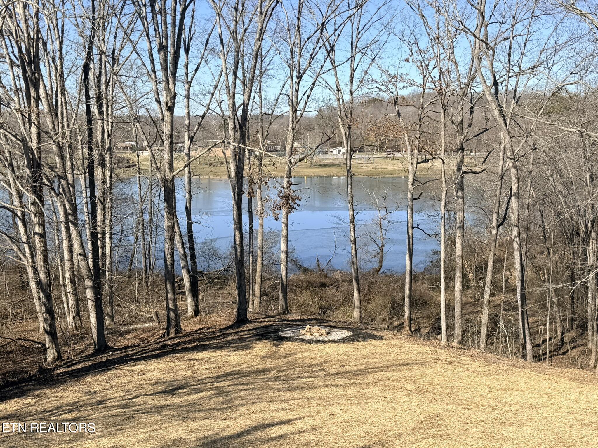 201 Grand Pappy Lane Oneida, TN 37841 - Photo 10 of 53 IMG_1767 (1)