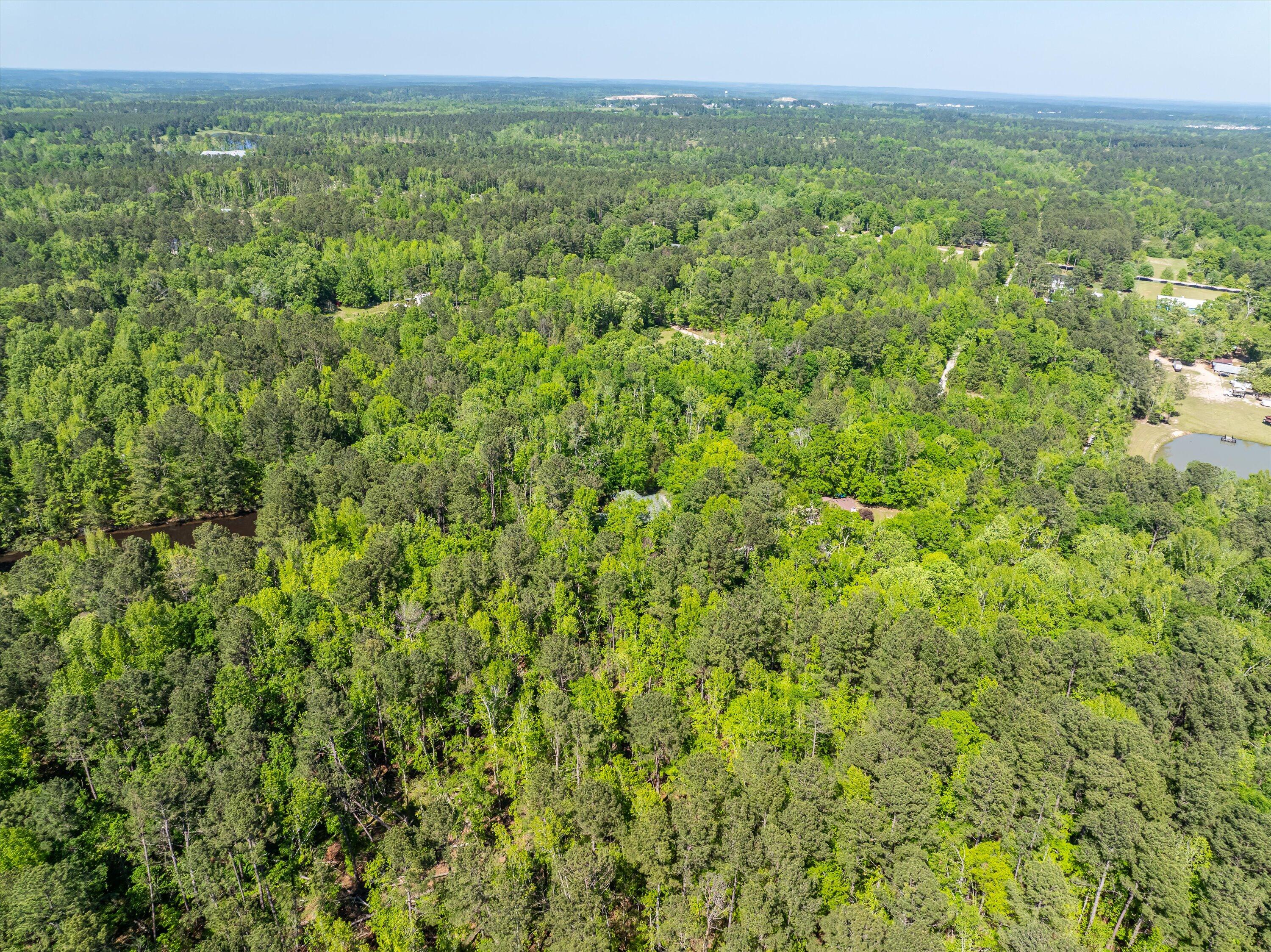 1626 Swint Road Harlem, GA 30814 - Photo 49 of 72 49-DJI_0008-HDR