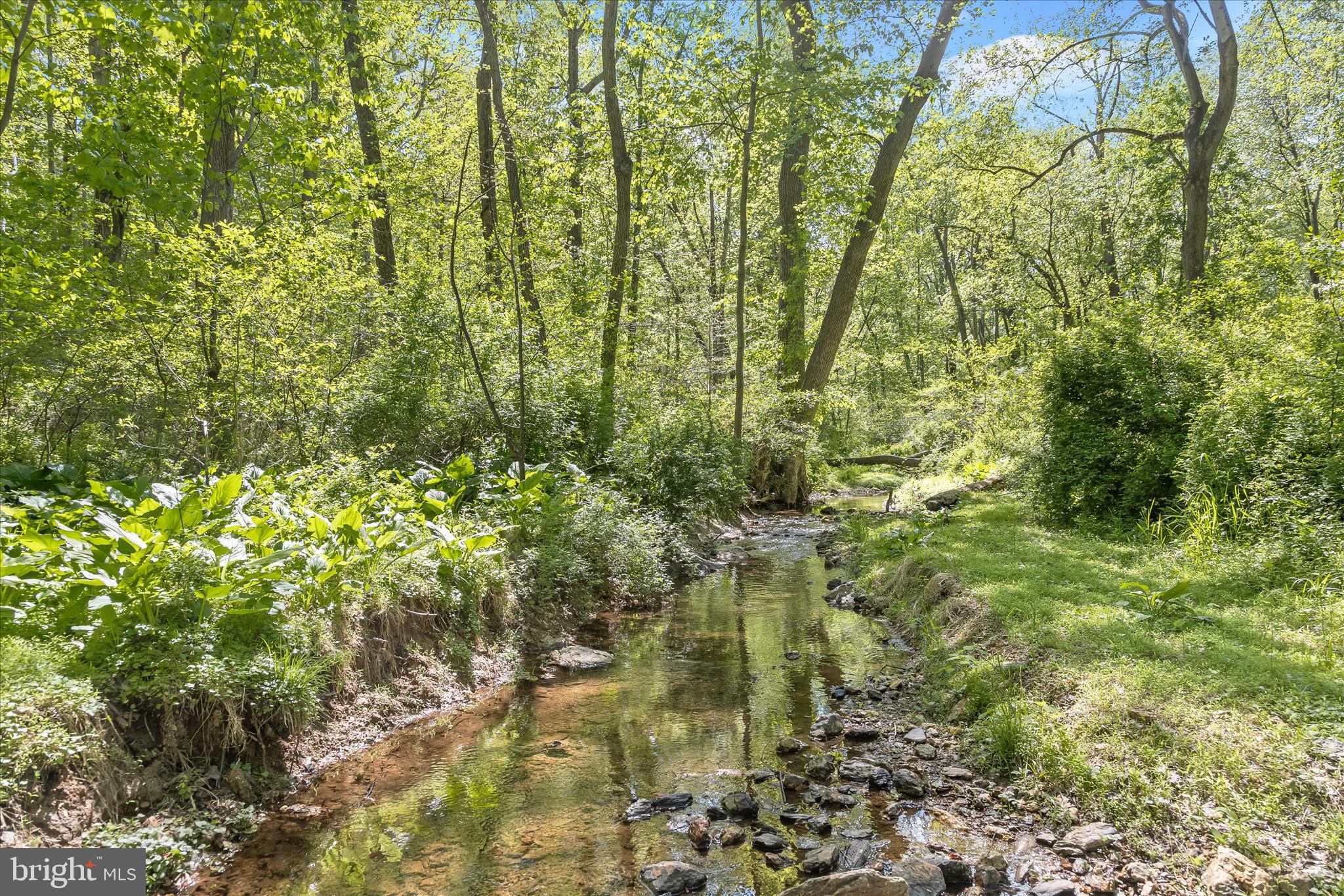 927 Buckhorn Road Sykesville, MD 21784 - Photo 126 of 147 a view of a yard with plants and large trees