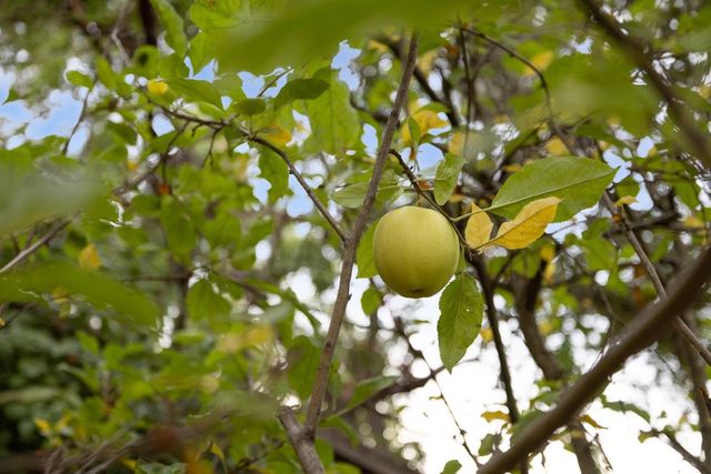 $2,850,000 | 622 Sylvan Way, Redwood City, CA 94062