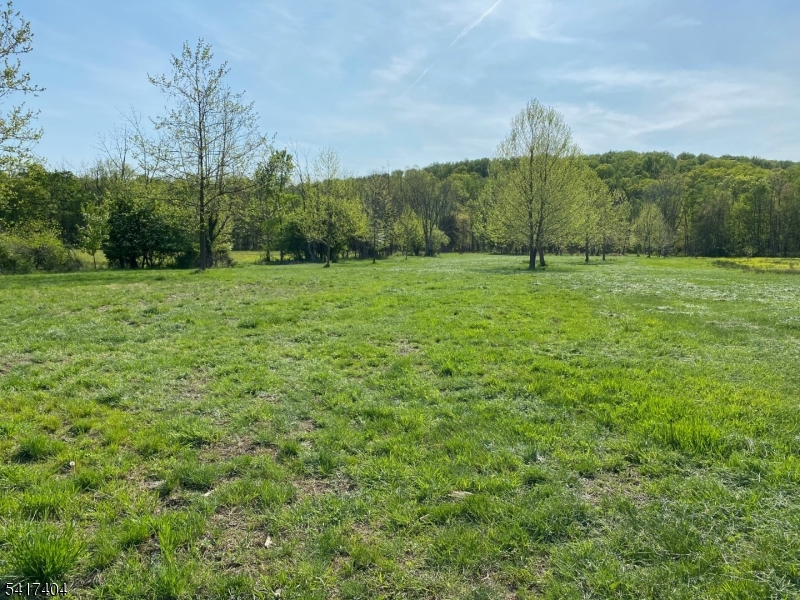 48 Fairview Road Skillman, NJ 08558 - Photo 2 of 10