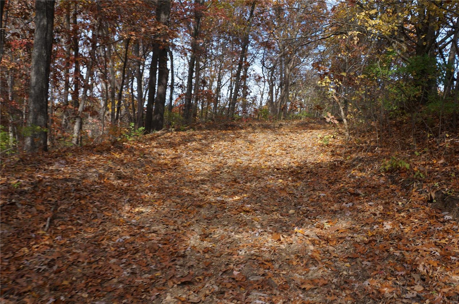 3243 Michael Hamburg Road Michael, IL 62065 - Photo 47 of 84 Gallery Image 47