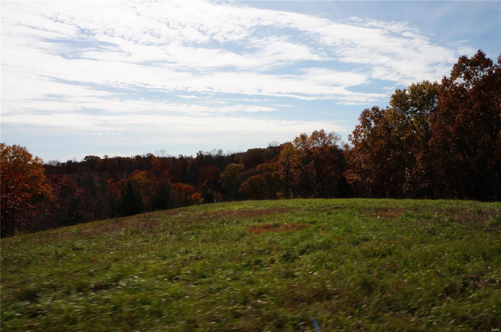 3243 Michael Hamburg Road Michael, IL 62065 - Photo 48 of 84 Gallery Image 48