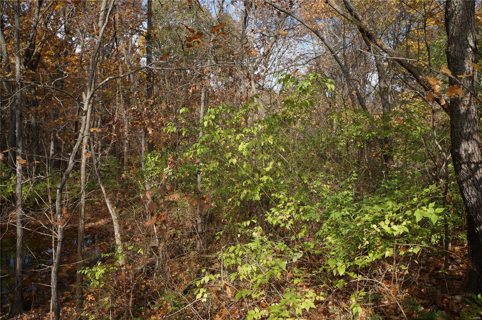 3243 Michael Hamburg Road Michael, IL 62065 - Photo 51 of 84 Gallery Image 51