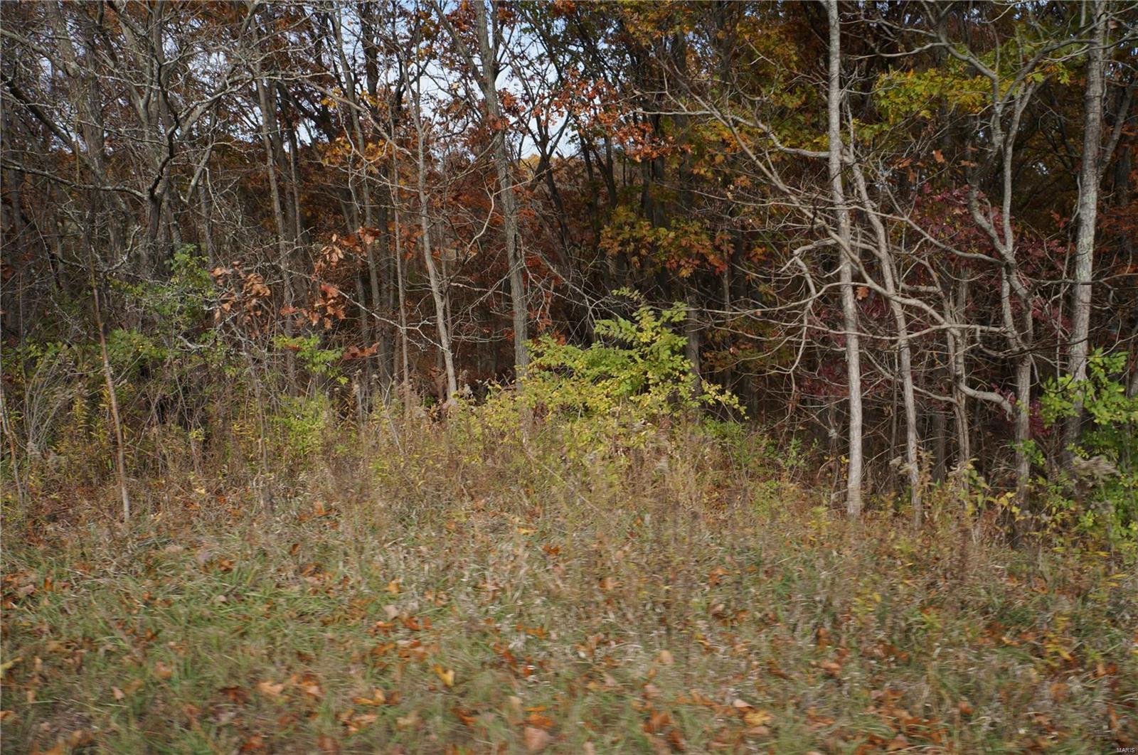 3243 Michael Hamburg Road Michael, IL 62065 - Photo 53 of 84 Gallery Image 53