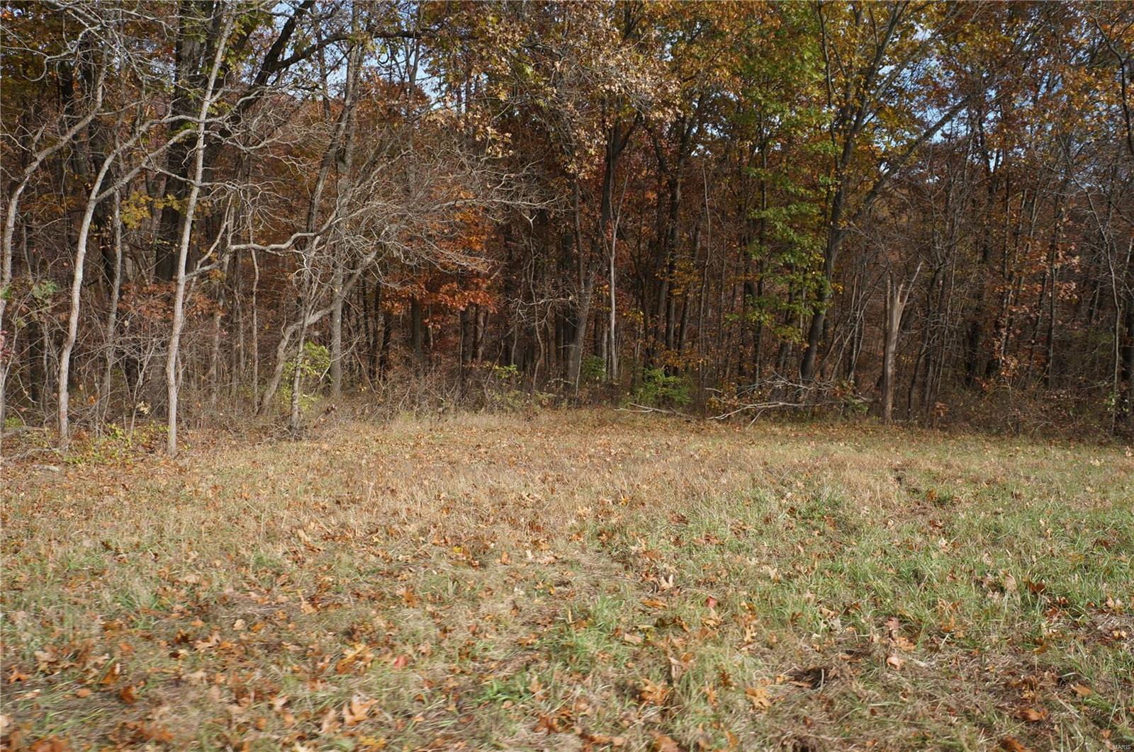 3243 Michael Hamburg Road Michael, IL 62065 - Photo 56 of 84 Gallery Image 56