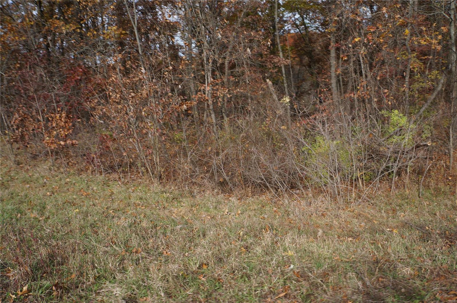3243 Michael Hamburg Road Michael, IL 62065 - Photo 57 of 84 Gallery Image 57