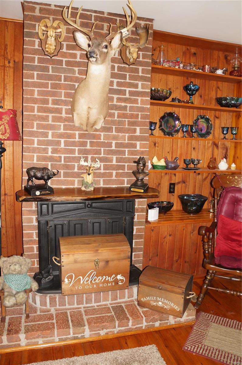 3243 Michael Hamburg Road Michael, IL 62065 - Photo 7 of 84 Gallery Image 7
