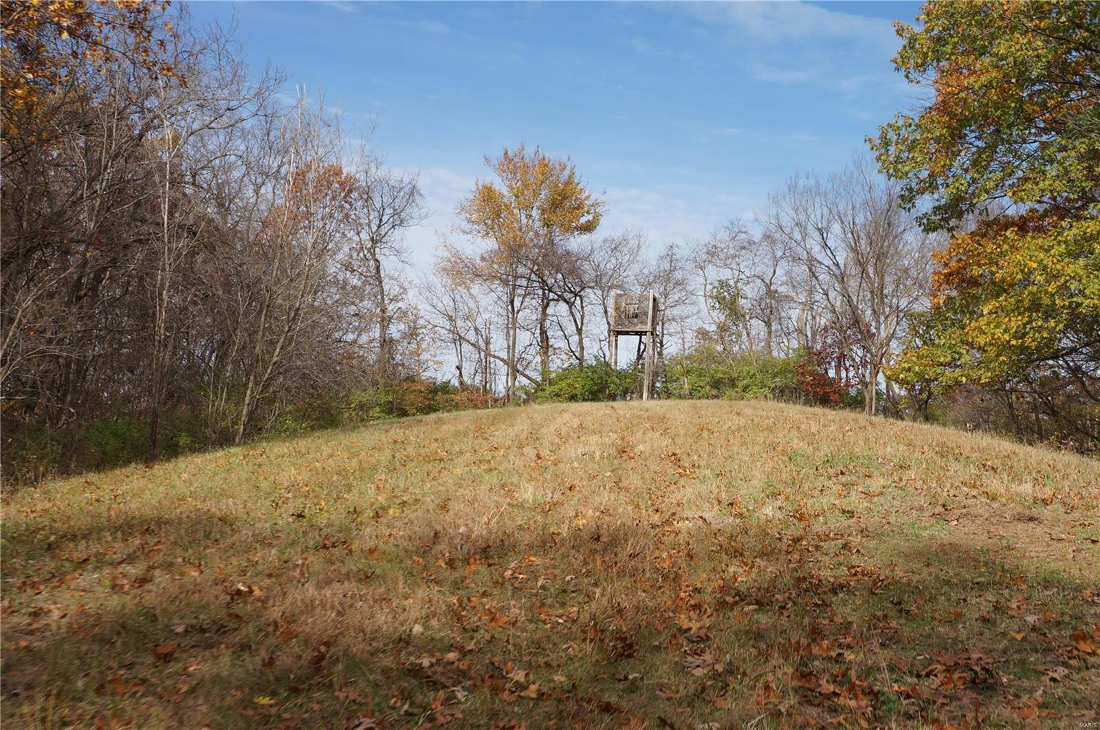 3243 Michael Hamburg Road Michael, IL 62065 - Photo 64 of 84 Gallery Image 64