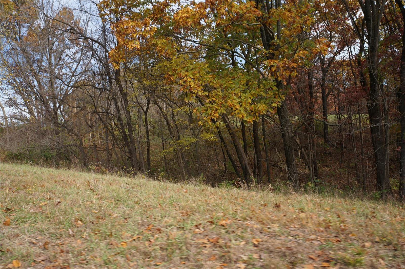 3243 Michael Hamburg Road Michael, IL 62065 - Photo 65 of 84 Gallery Image 65