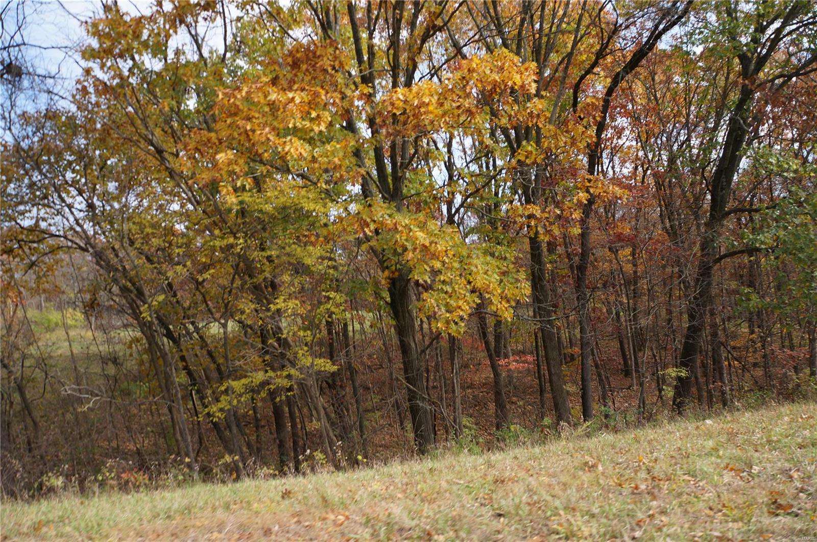 3243 Michael Hamburg Road Michael, IL 62065 - Photo 66 of 84 Gallery Image 66