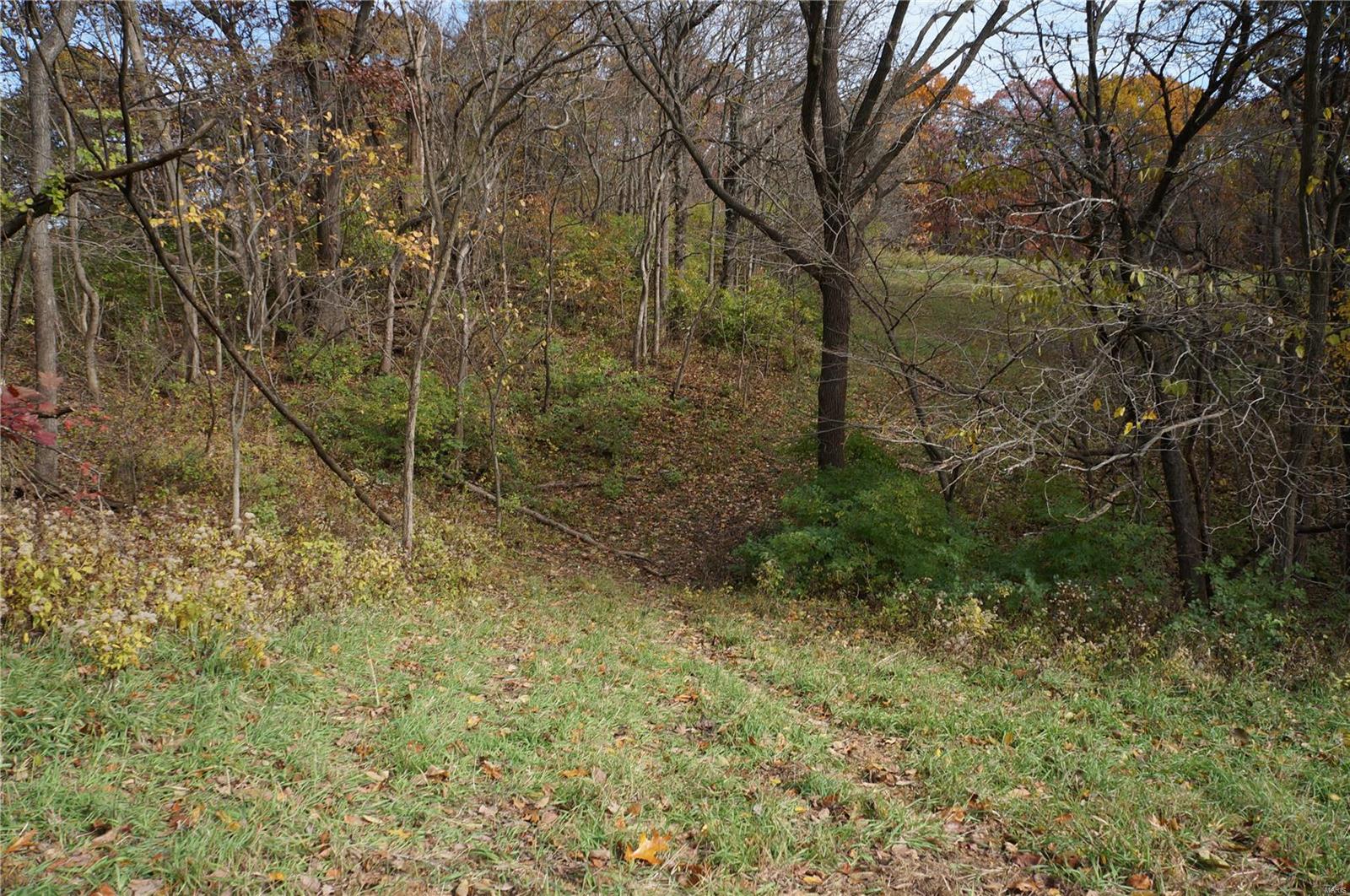 3243 Michael Hamburg Road Michael, IL 62065 - Photo 67 of 84 Gallery Image 67