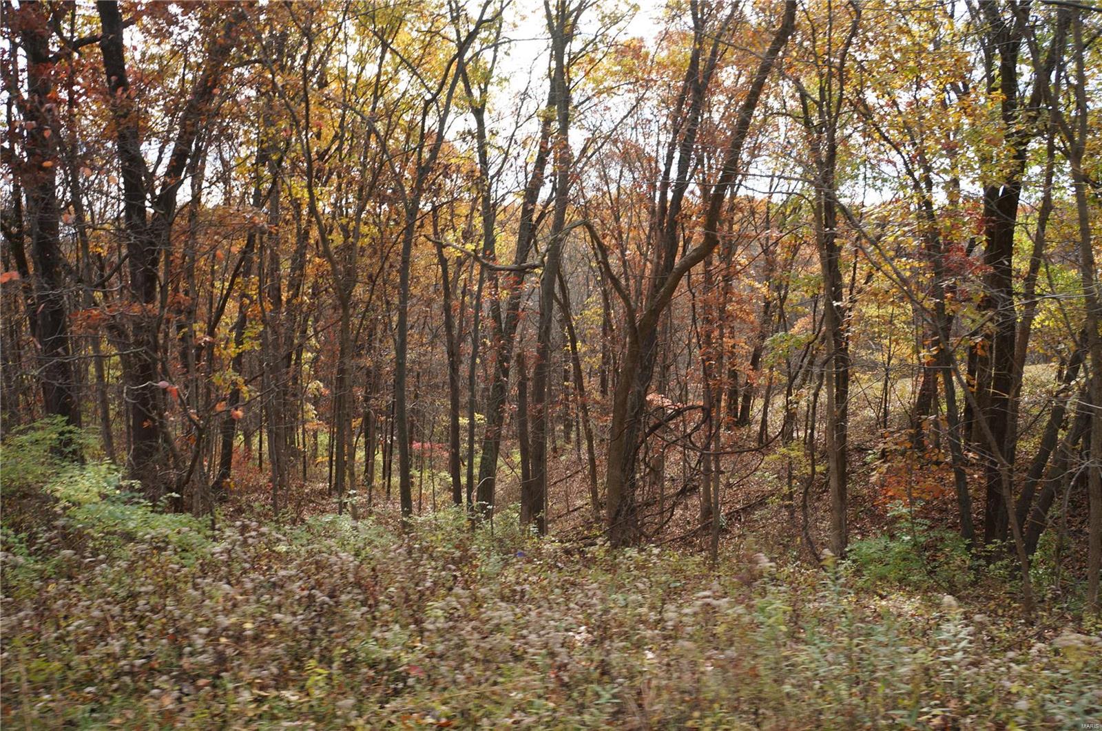 3243 Michael Hamburg Road Michael, IL 62065 - Photo 69 of 84 Gallery Image 69