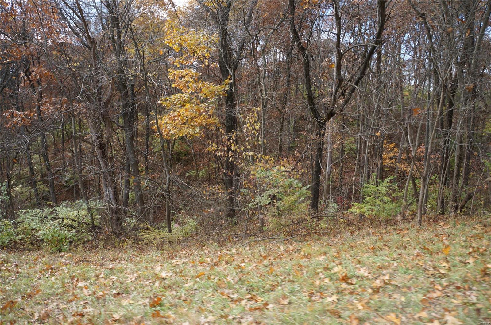 3243 Michael Hamburg Road Michael, IL 62065 - Photo 71 of 84 Gallery Image 71