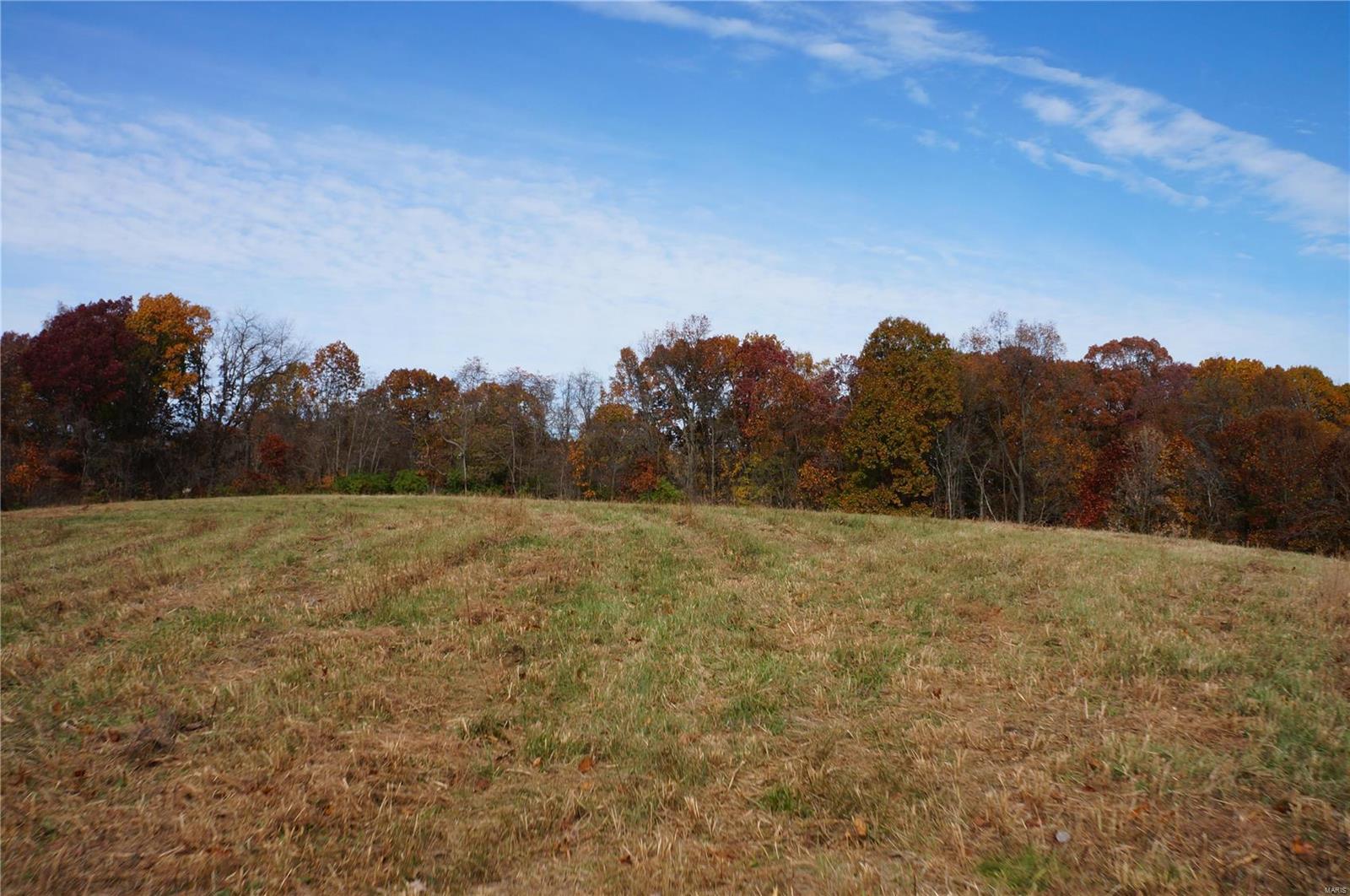 3243 Michael Hamburg Road Michael, IL 62065 - Photo 74 of 84 Gallery Image 74