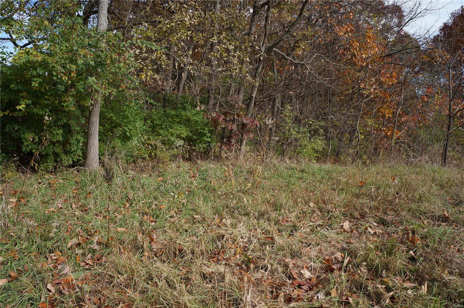 3243 Michael Hamburg Road Michael, IL 62065 - Photo 75 of 84 Gallery Image 75