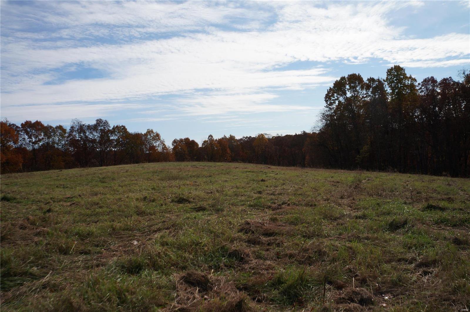3243 Michael Hamburg Road Michael, IL 62065 - Photo 76 of 84 Gallery Image 76