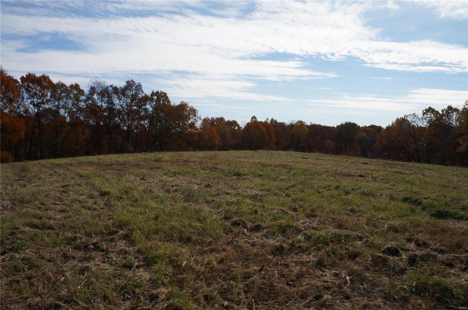 3243 Michael Hamburg Road Michael, IL 62065 - Photo 77 of 84 Gallery Image 77