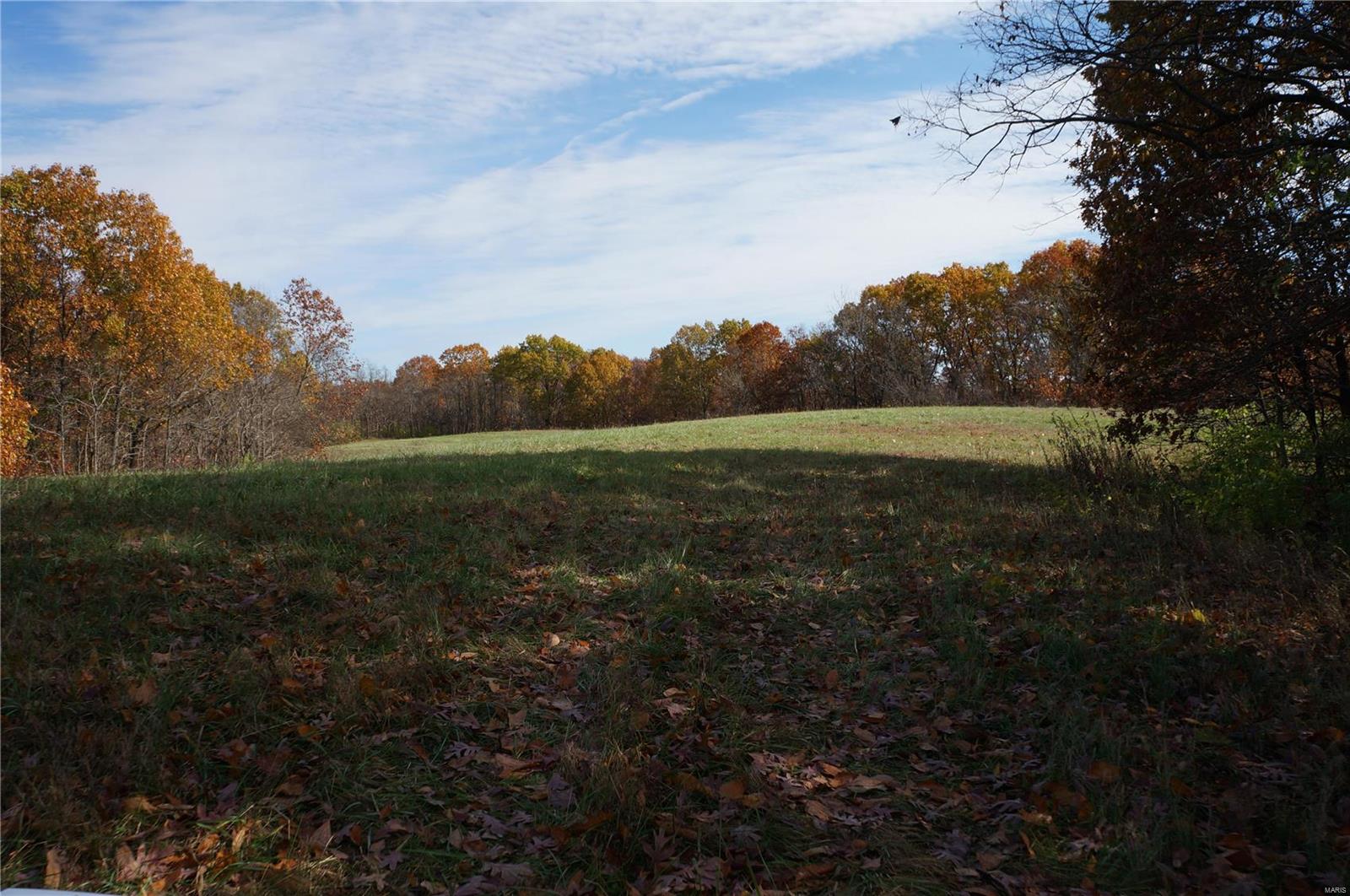3243 Michael Hamburg Road Michael, IL 62065 - Photo 78 of 84 Gallery Image 78