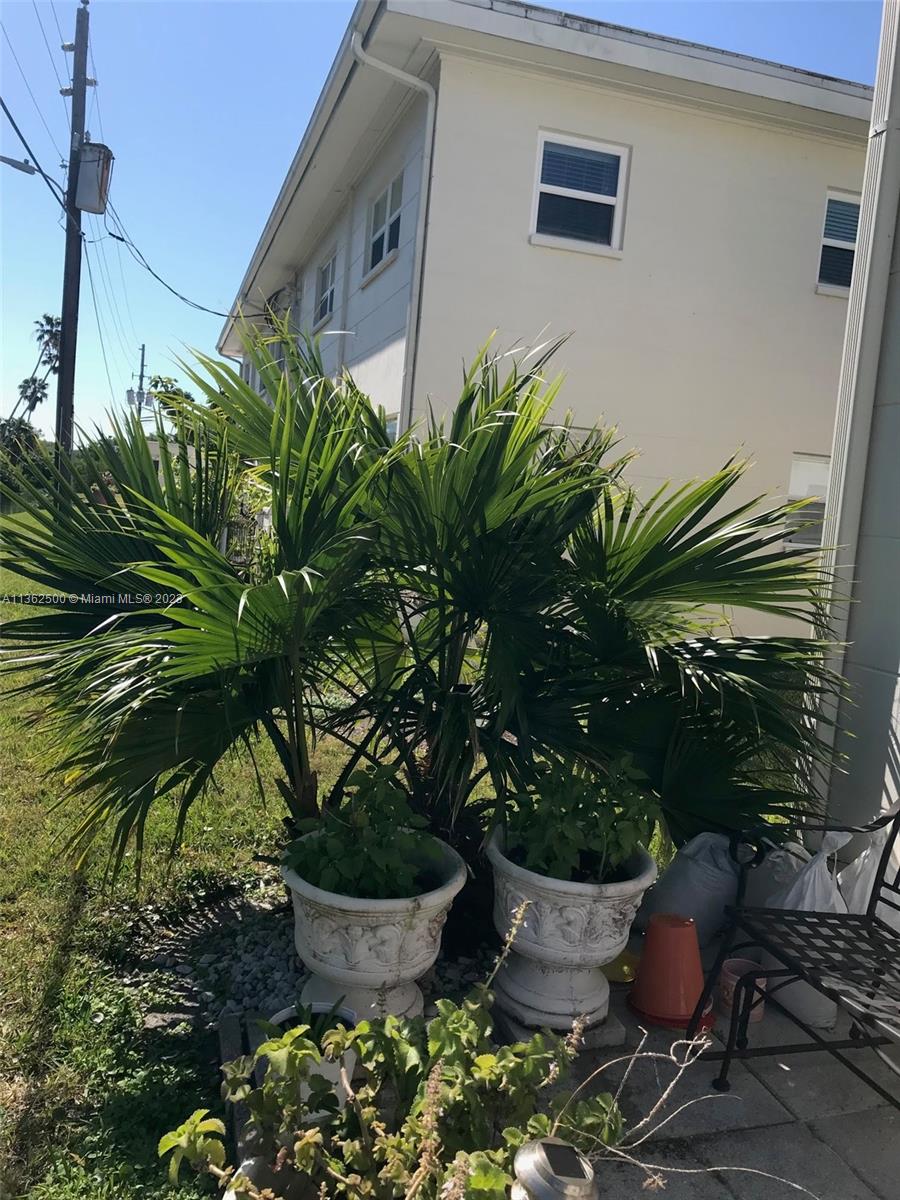 4565 Duhme Road, Unit 105 St. Petersburg, FL 33708 - Photo 17 of 19 a view of a potted plant in front of a building