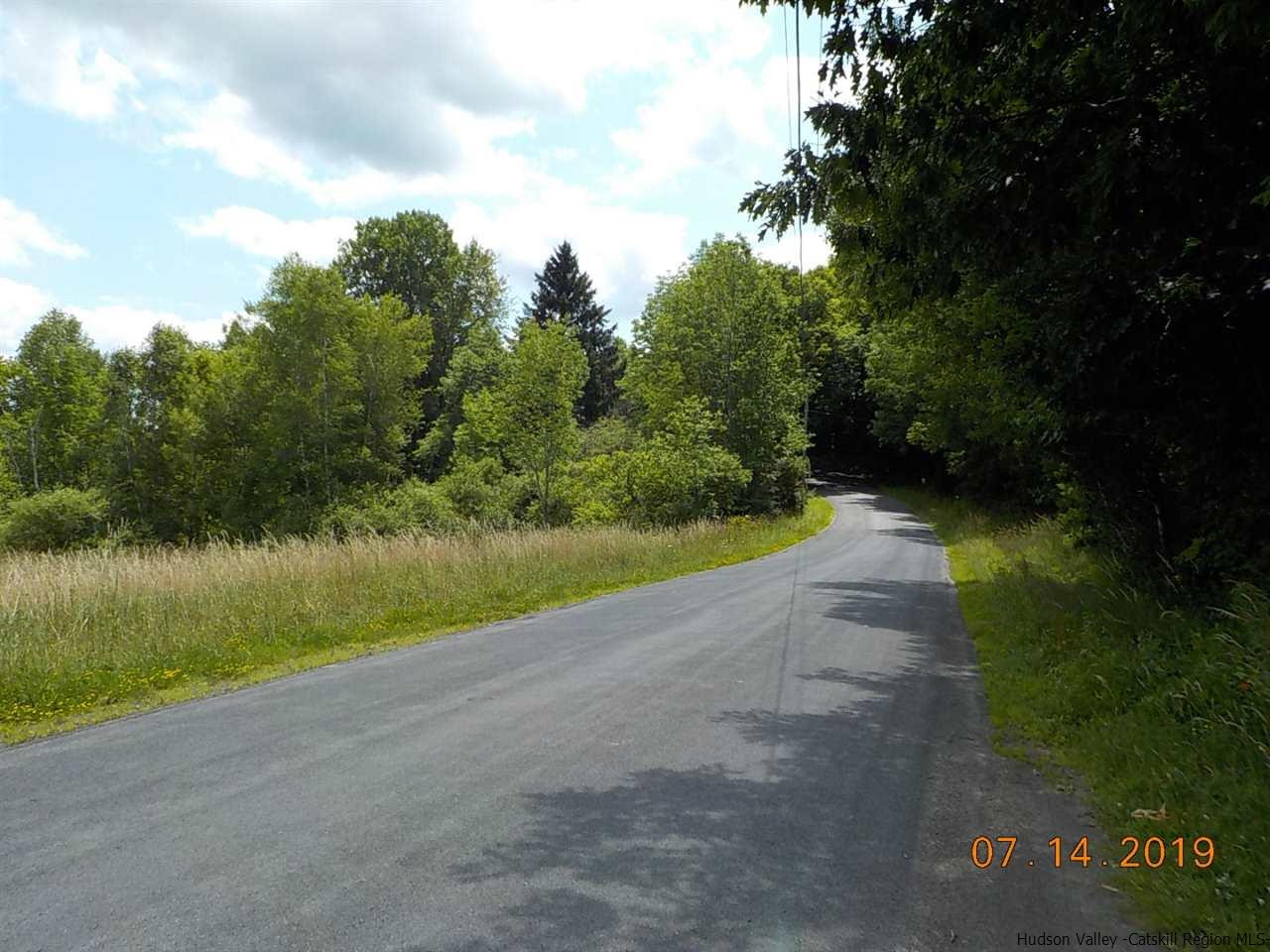 2199 Burroughs Memorial Road Roxbury, NY 12474 - Photo 34 of 34 a view of a lake with a yard