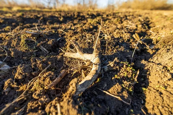 $220,000 | 231 Northeast Ne Road, Leeton, MO 64761