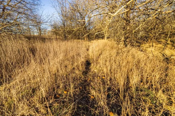 $220,000 | 231 Northeast Ne Road, Leeton, MO 64761