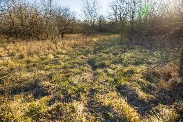 $220,000 | 231 Northeast Ne Road, Leeton, MO 64761