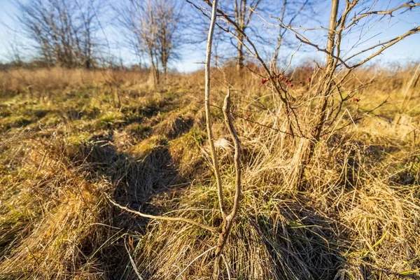 $220,000 | 231 Northeast Ne Road, Leeton, MO 64761