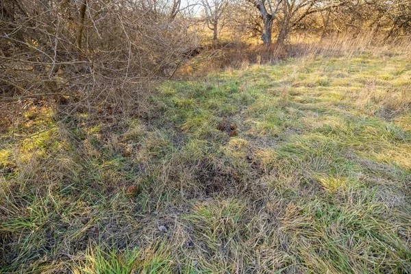 $220,000 | 231 Northeast Ne Road, Leeton, MO 64761