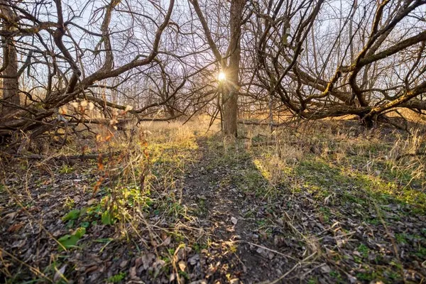 $220,000 | 231 Northeast Ne Road, Leeton, MO 64761