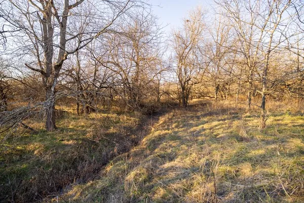 $220,000 | 231 Northeast Ne Road, Leeton, MO 64761