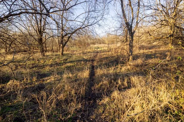 $220,000 | 231 Northeast Ne Road, Leeton, MO 64761