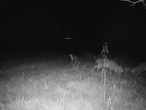 $220,000 | 231 Northeast Ne Road, Leeton, MO 64761