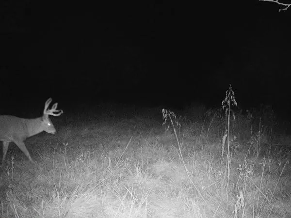 $220,000 | 231 Northeast Ne Road, Leeton, MO 64761