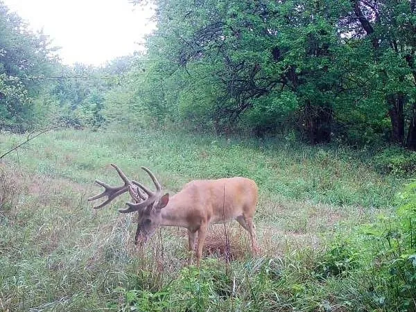 $220,000 | 231 Northeast Ne Road, Leeton, MO 64761