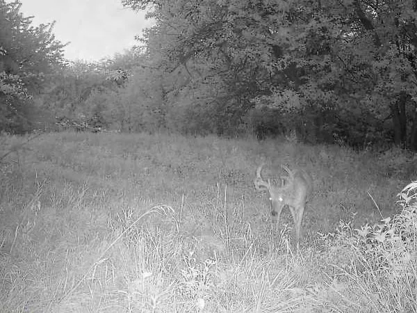 $220,000 | 231 Northeast Ne Road, Leeton, MO 64761