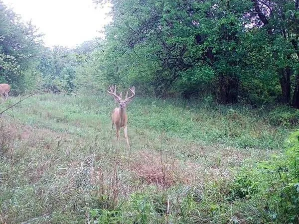 $220,000 | 231 Northeast Ne Road, Leeton, MO 64761