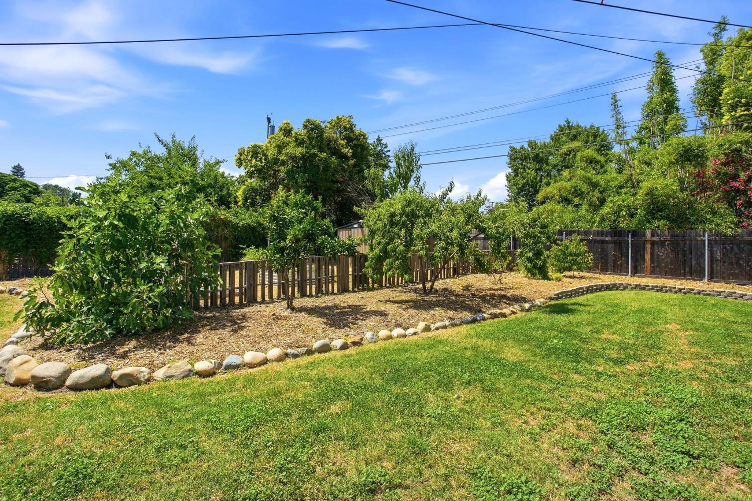 4617 Robertson Avenue Sacramento, CA 95821 - Photo 33 of 37 Enjoy a variety of fruit-bearing trees, including a fig tree, two pomegranate trees, a mandarin tree, and a peach tree...and plenty of room to plant more if you'd like!