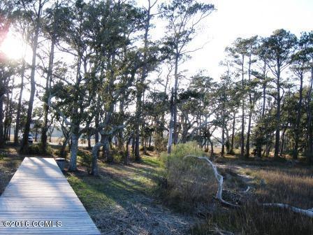 1813 Olde Farm Road Morehead City, NC 28557 - Photo 19 of 24 Natural Areas