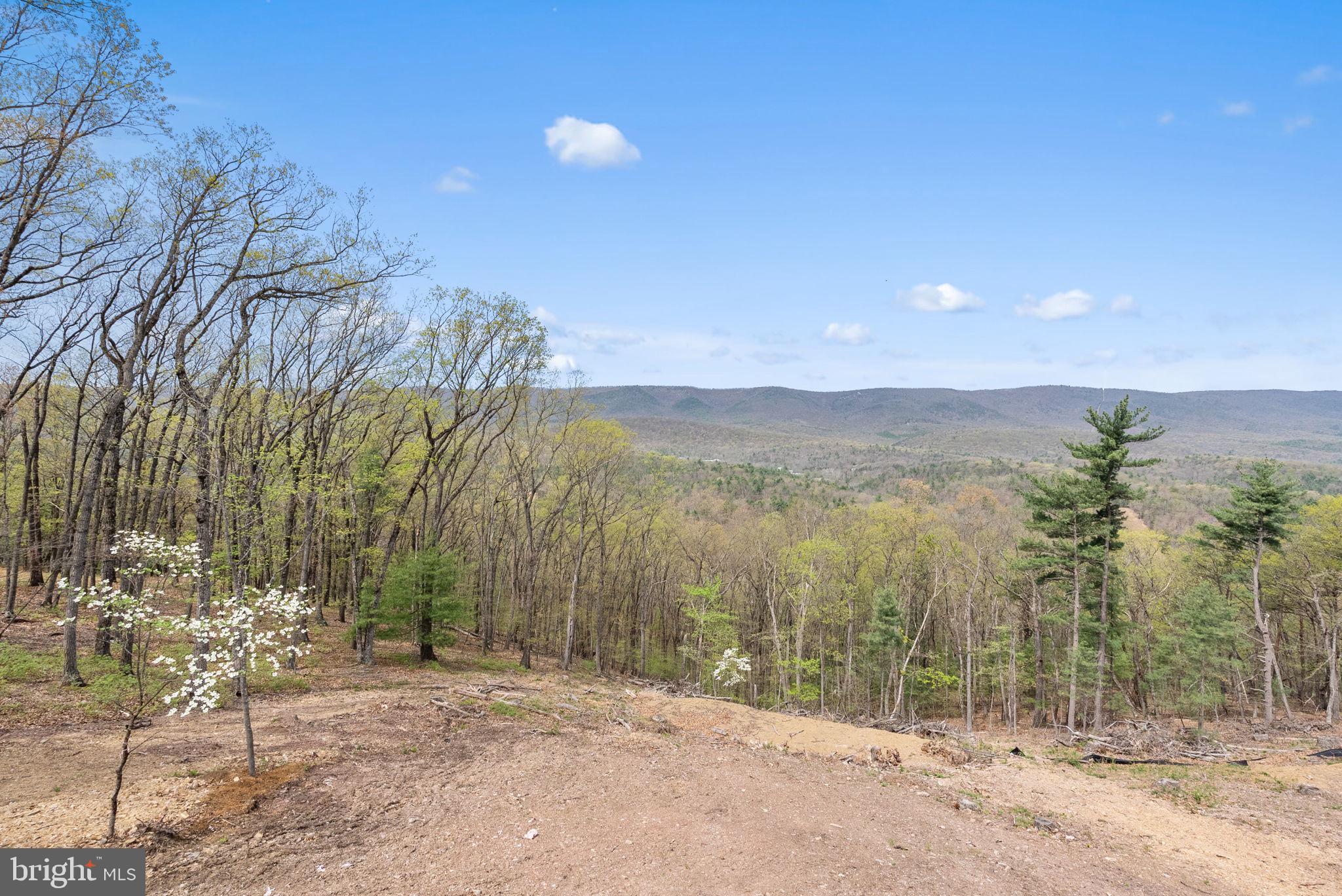 4075 Supinlick Ridge Road Mount Jackson, VA 22842 - Photo 41 of 42
