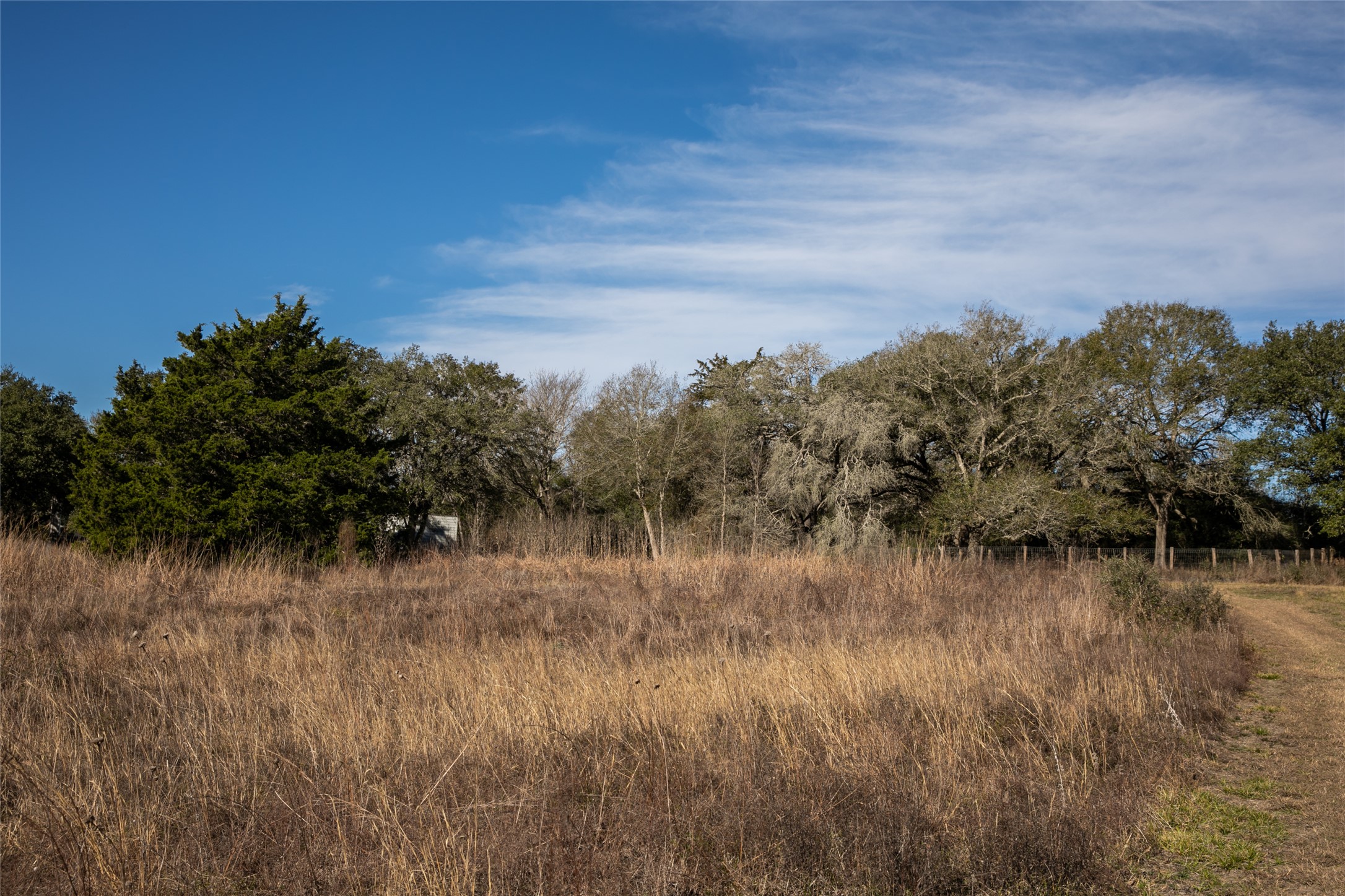 11107 Mt Falls School Road Washington, TX 77880 - Photo 4 of 26