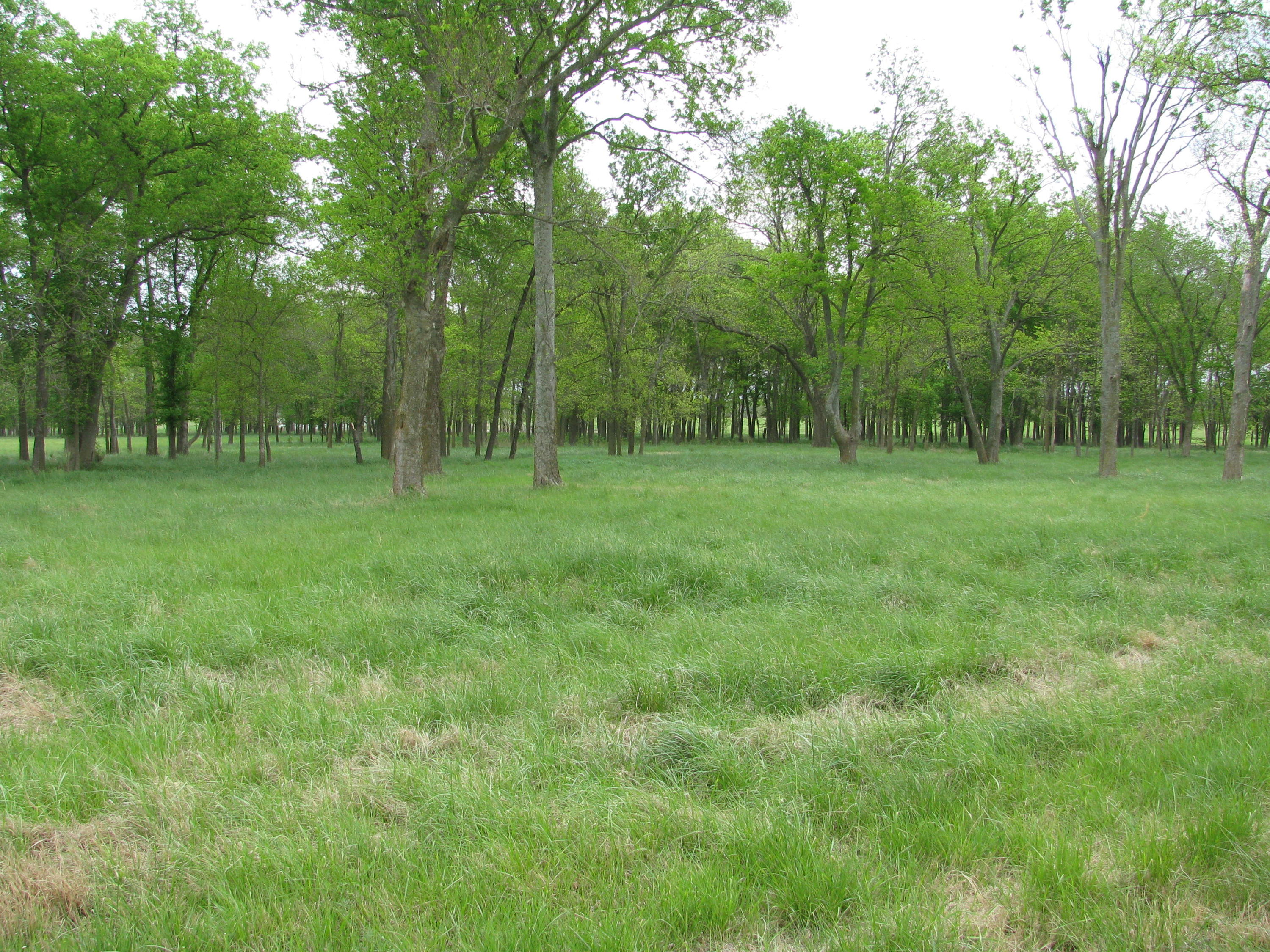 31648 South 4490 Road Afton, OK 74331 - Photo 16 of 68 Gallery Image 16