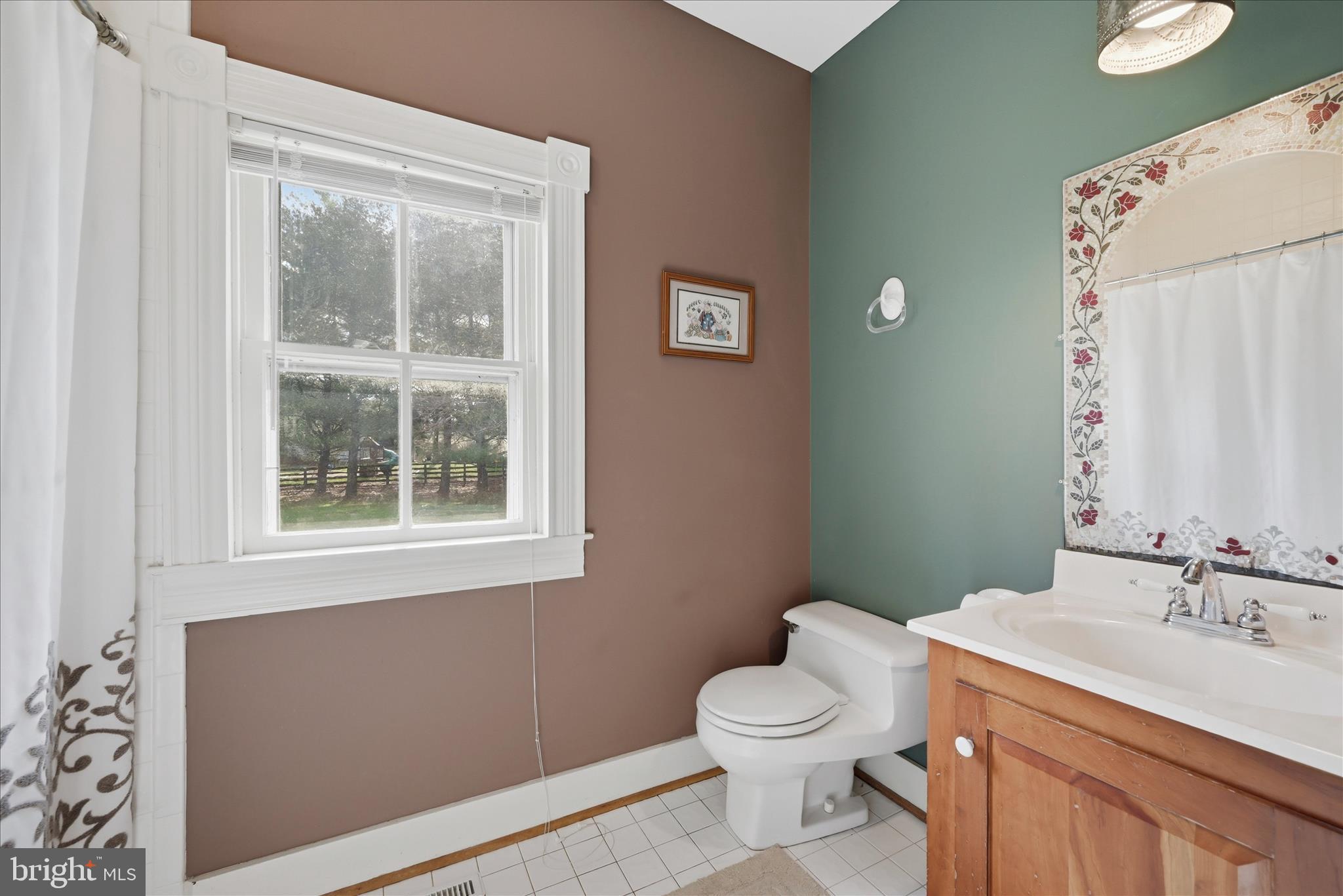 171 Laurel Grove Road Winchester, VA 22602 - Photo 29 of 83 Main Level Bathroom