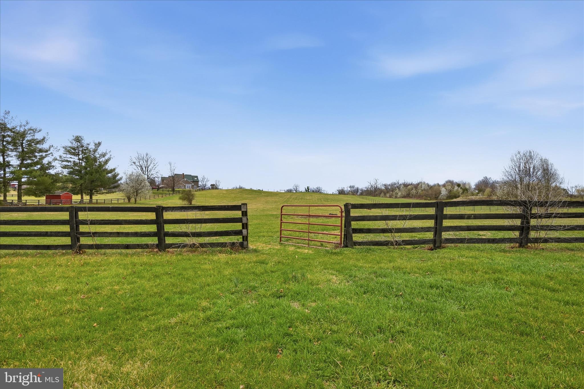 171 Laurel Grove Road Winchester, VA 22602 - Photo 49 of 81 Backyard